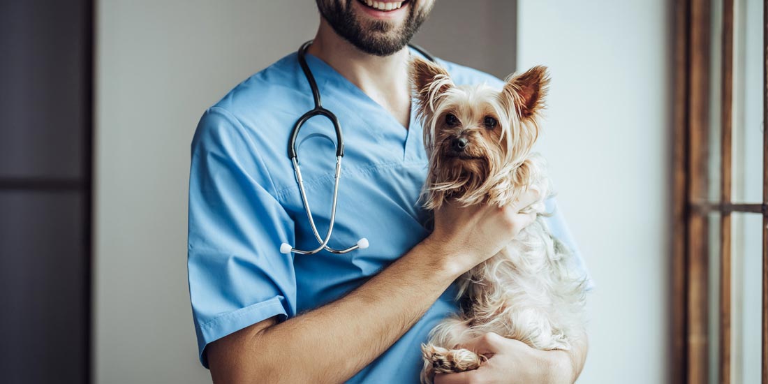 McAllen Veterinarian, Pet and Animal Hospital, Veterinary Care, Pet Doctor