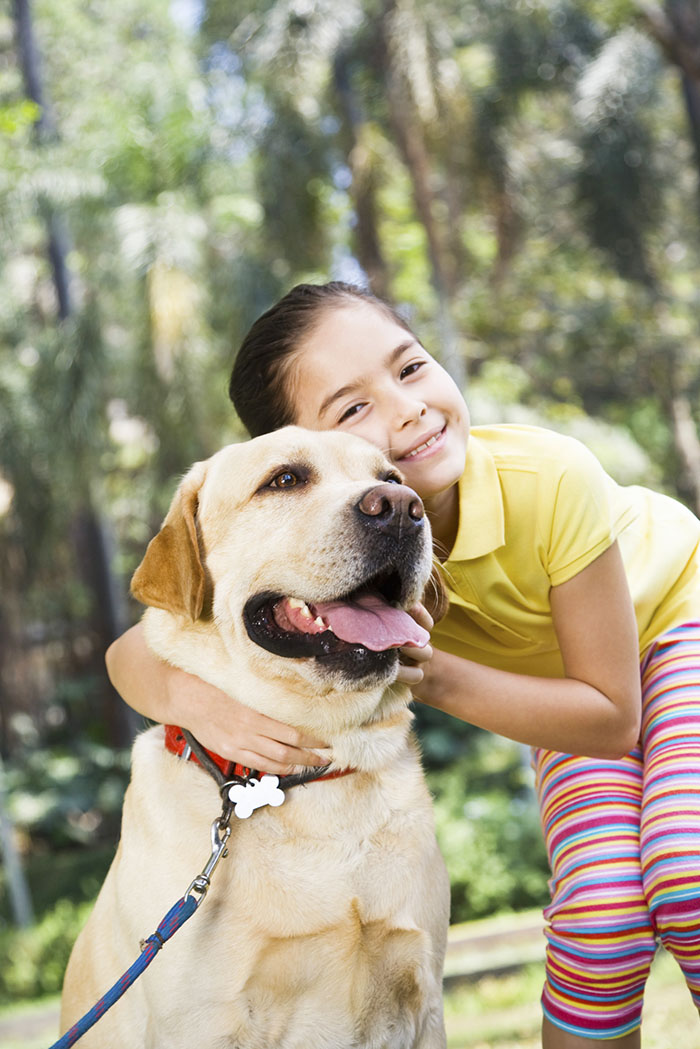 Summertime Pet Safety Tips - Valley Animal Hospital