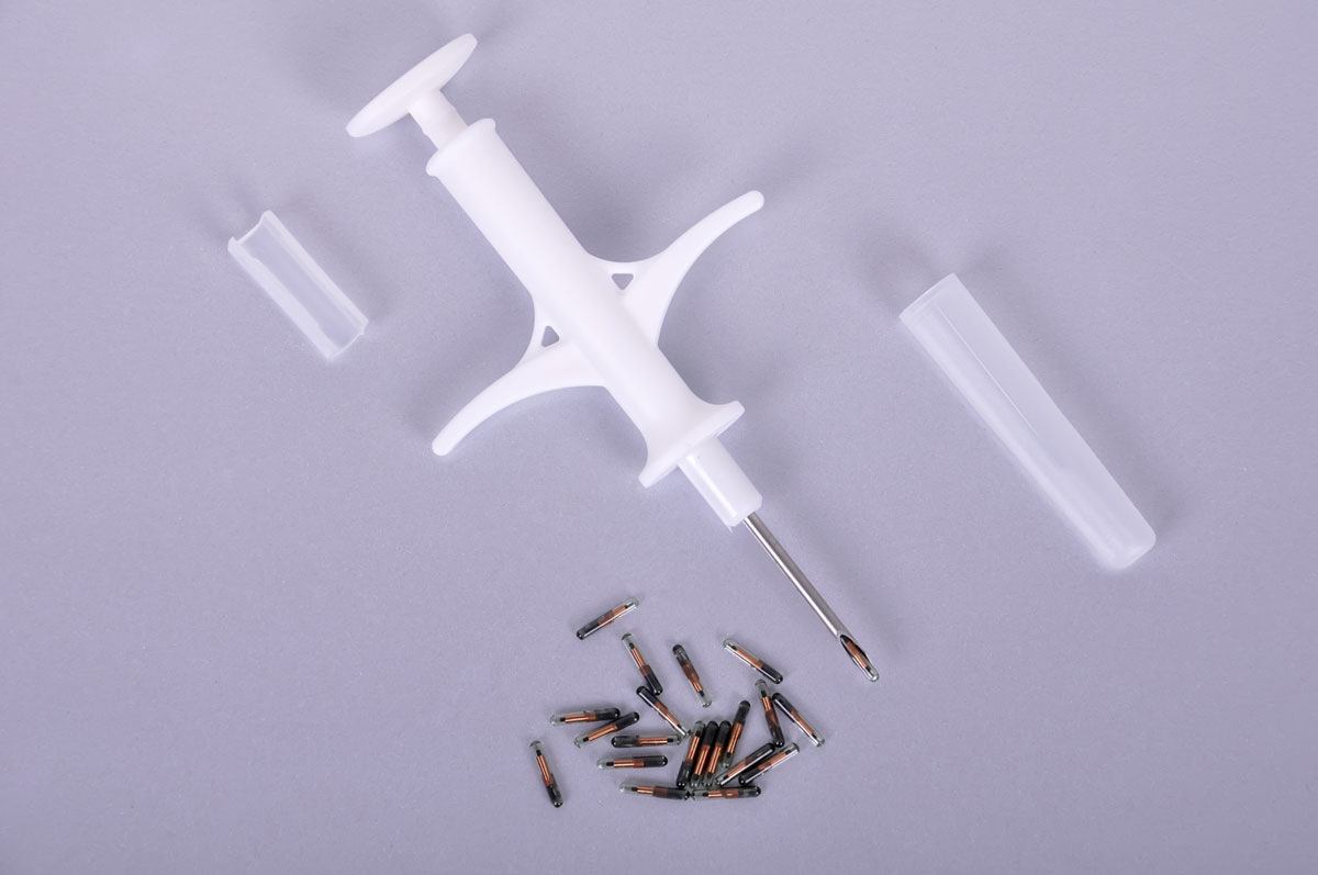 The Benefits of Microchipping Your Pet Valley Animal Hospital