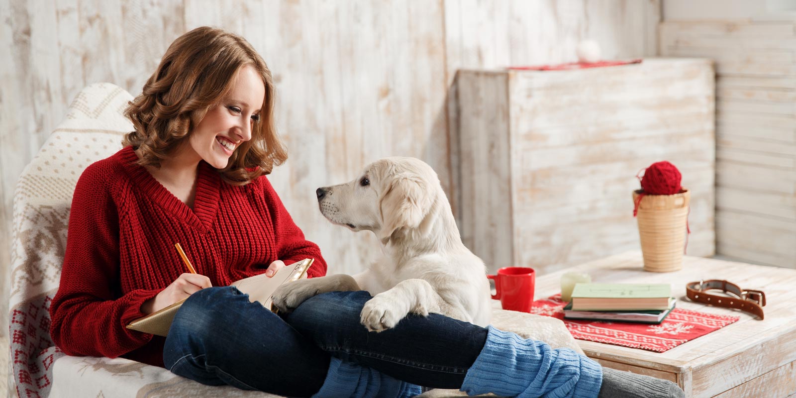 Behavioral Counseling for Your Pet Valley Animal Hospital