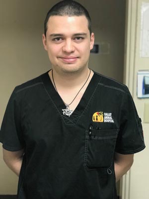 Bruno - Veterinary Assistant