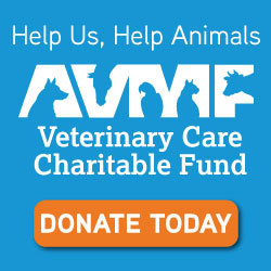 Valley Animal Hospital Donation Button