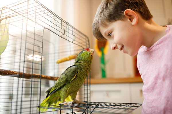 Green bird with boy at McAllen pet hospital.