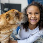 Valley Animal Hospital tips for aging pets