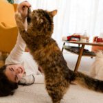 Valley Animal Hospital