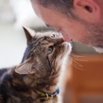 Geriatric Pet Care