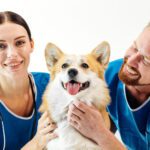 Heartworm Prevention